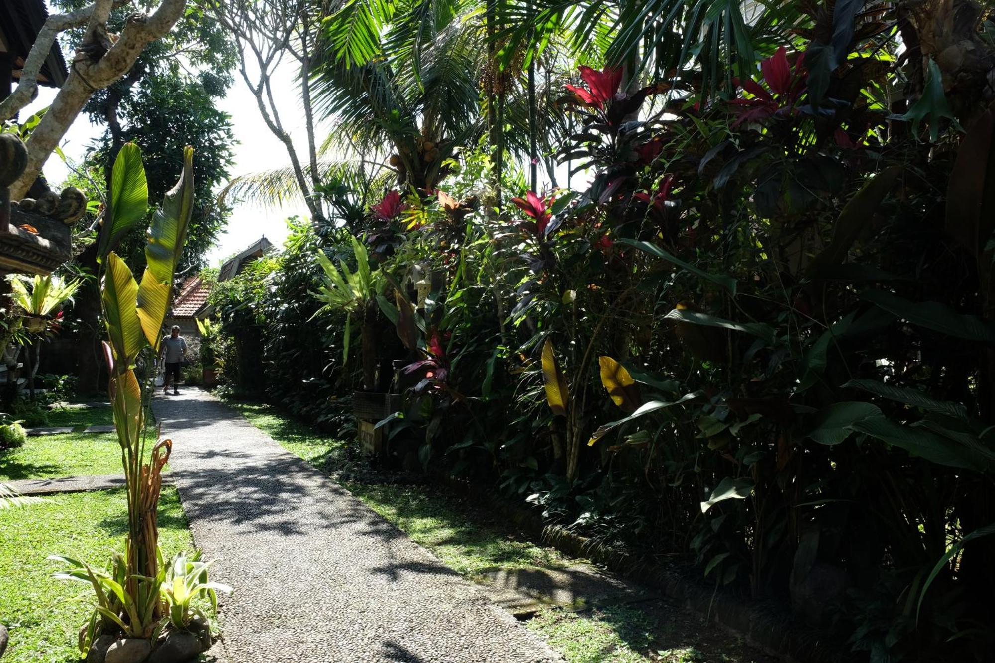 Suastika Guest House Ubud Exterior photo