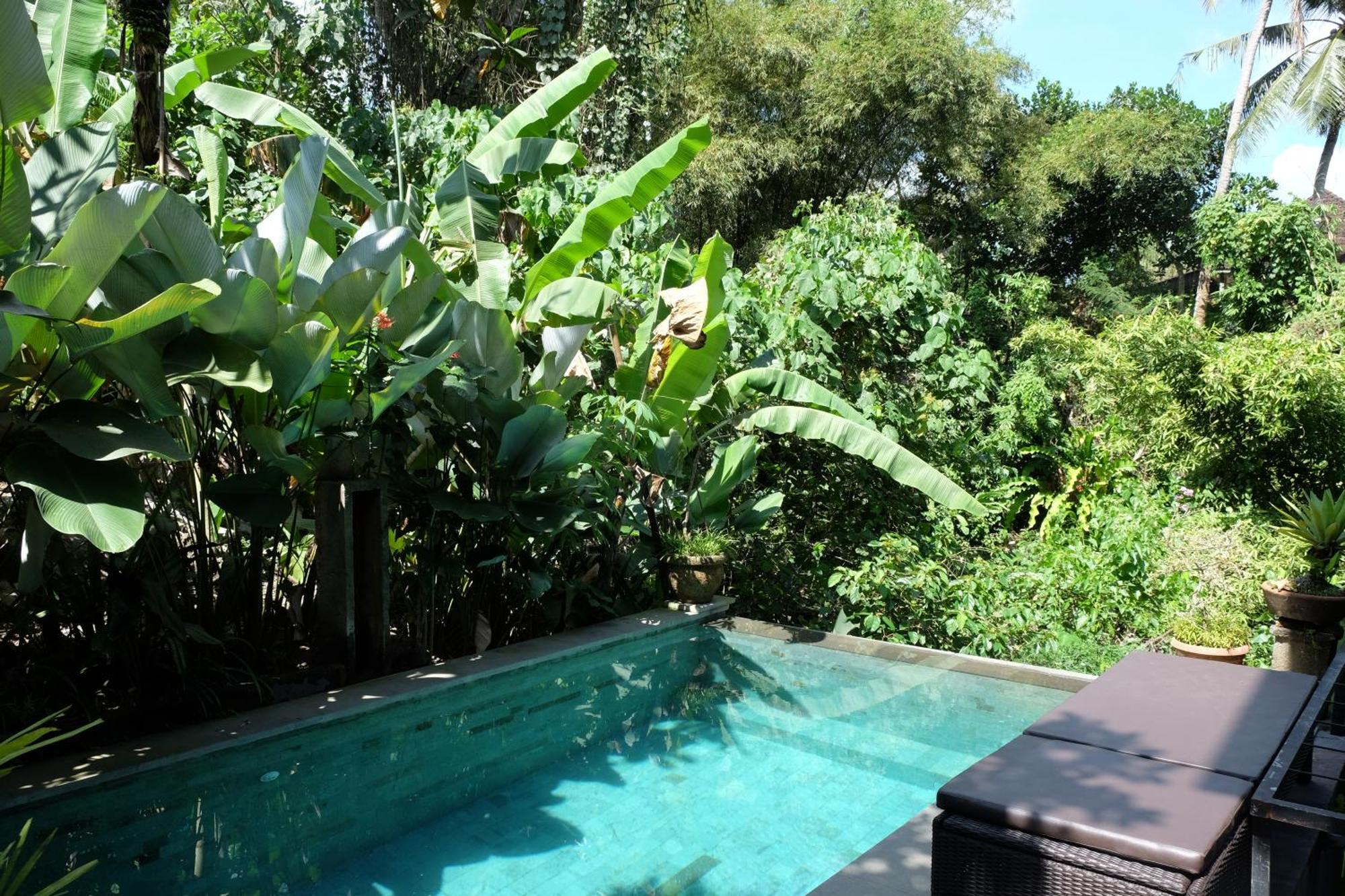 Suastika Guest House Ubud Exterior photo