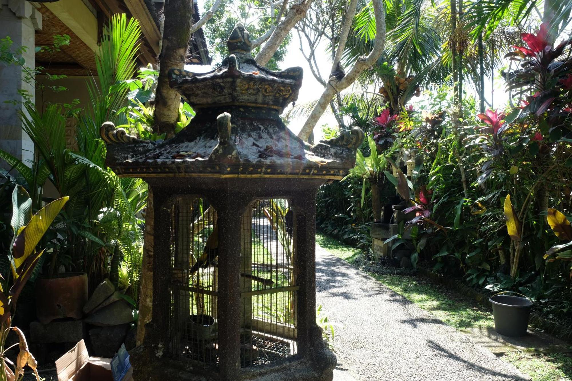 Suastika Guest House Ubud Exterior photo